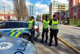 Lev usiel z klietky a zranil osetrovatela