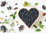 Kralovna antioxidantov ktra zaujala aj vedcov Preco je slovenska aronia c 1 pre vasu imunitu
