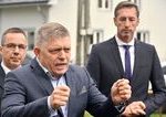 Konzervativci maju poslednu sancu porazit Smer Ak to nevyjde spoja sa s nim komentr Martina Behula