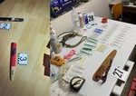 Policia rozbila skupinu prevadzkuju cu nelegalne psie zapasy v troch okresoch