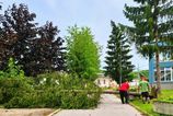 Silna vetrna smrst zasiahla Povazsku Bystricu Mesto hlasi mnozstvo polamanch stromov