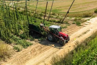 Dáta z projektu PRE CHMEĽ pomohli poslednému slovenskému chmeliarovi s tohtoročnou úrodou