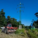 Najvyšší súd zamietol dovolanie štátu v kauze Pečnianskeho lesa