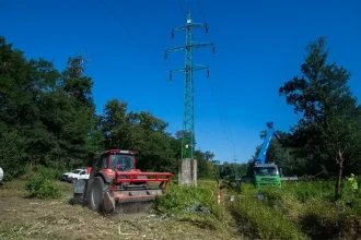 Najvyšší súd zamietol dovolanie štátu v kauze Pečnianskeho lesa