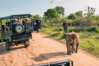Najzdvorilejší turisti sveta? Nemci nie, Briti na konci rebríčka