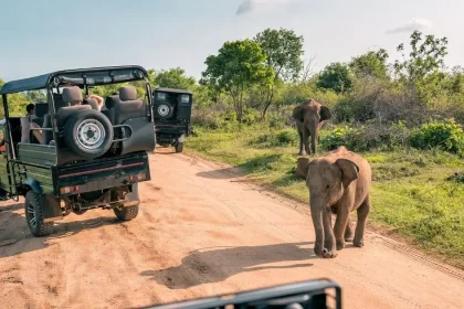 Najzdvorilejší turisti sveta? Nemci nie, Briti na konci rebríčka