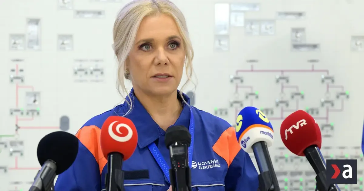 Elektrina pre domácnosti v roku 2027 môže stáť okolo 79 eur