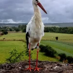 Nočný dážď zasiahol mnohé regióny, cez deň už len východ