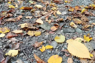 Ochladenie ukončí letné teploty, ktoré tento týždeň pripomínali jeseň