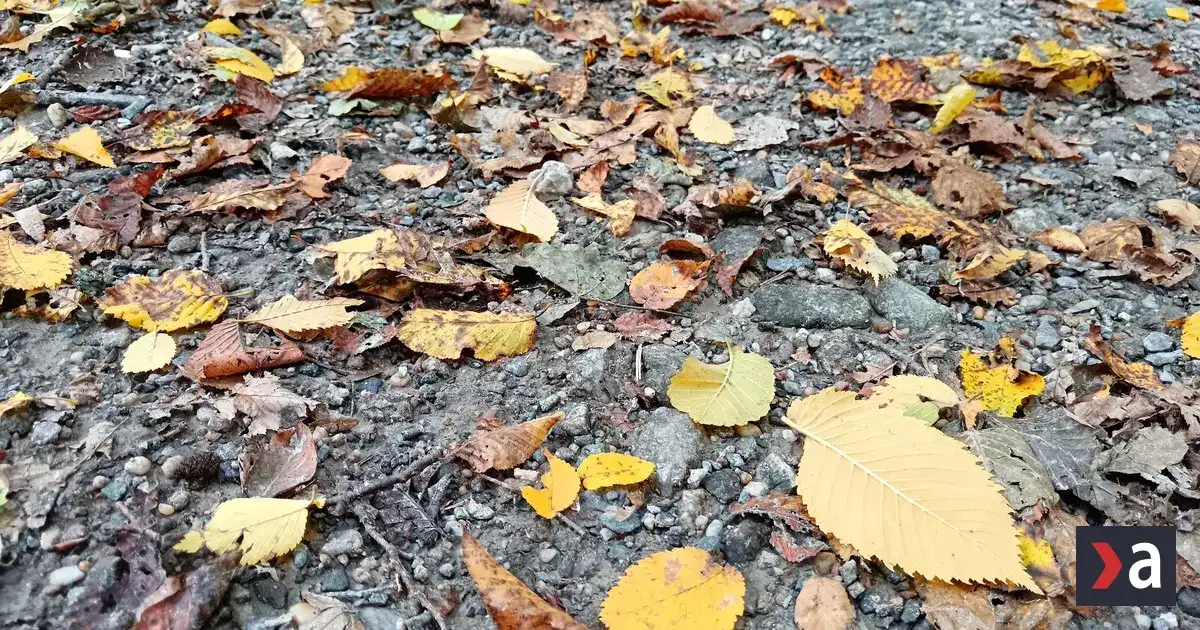 Ochladenie ukončí letné teploty, ktoré tento týždeň pripomínali jeseň
