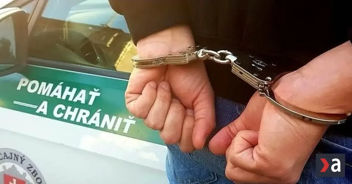 Polícia zadržala muža po dohodnutom stretnutí s 12-ročným dievčaťom