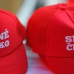 V Česku sa skončilo 2. kolo senátnych volieb, komisie sčítavajú hlasy
