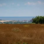 Zamračí sa a miestami zaprší, na horách hrozí víchrica